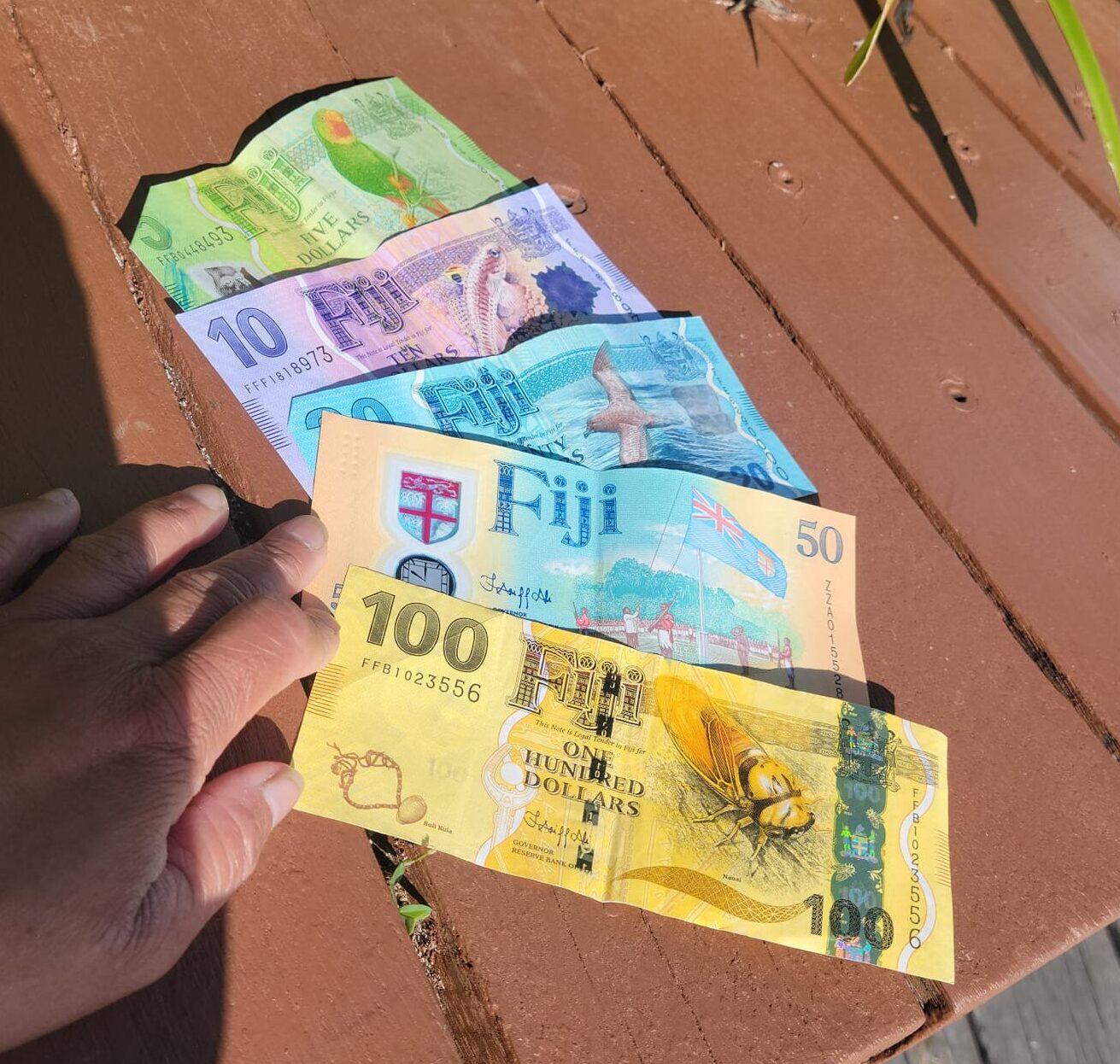 Colorful Fijian money.