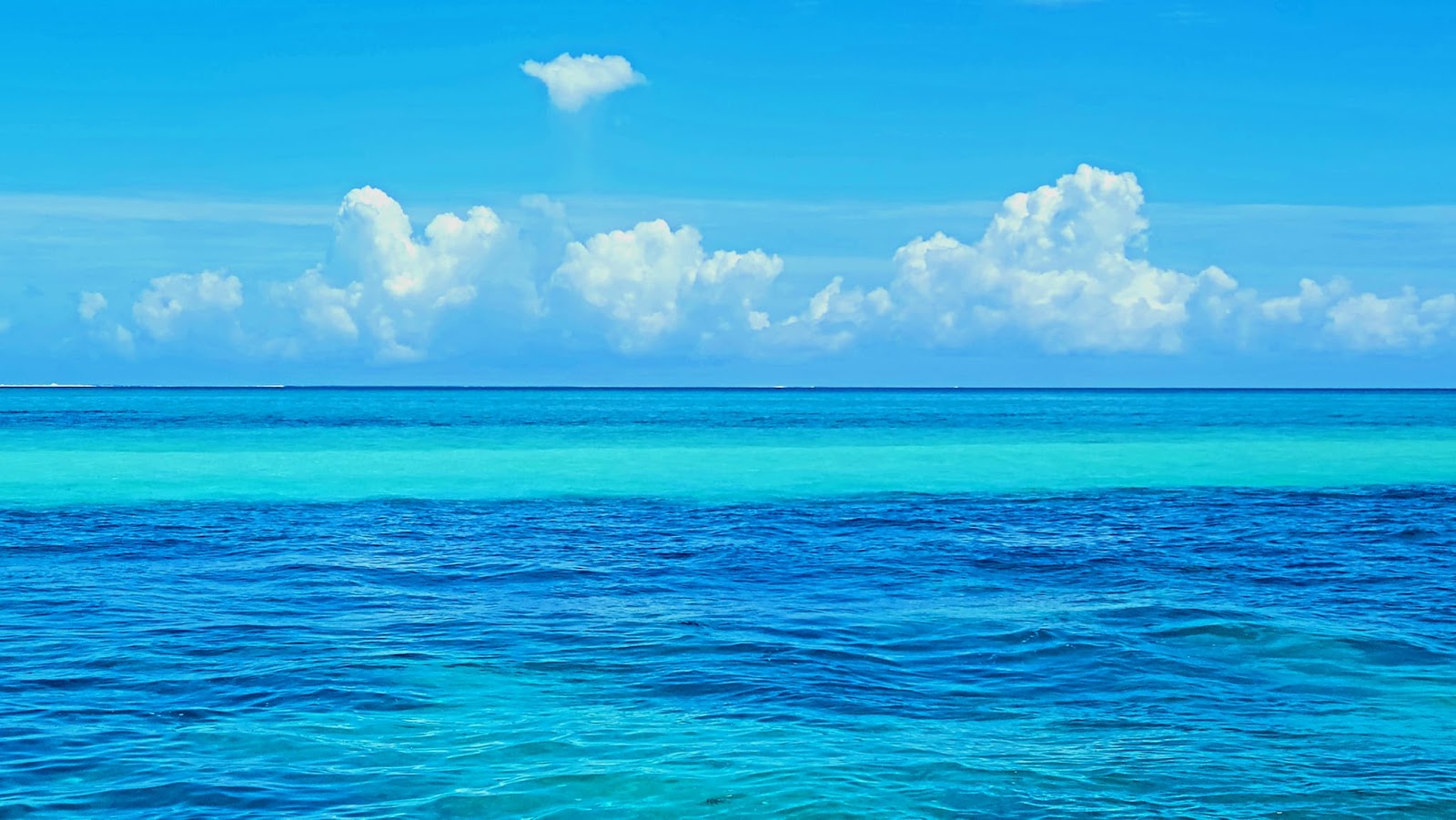 View from the catamaran sailboat.