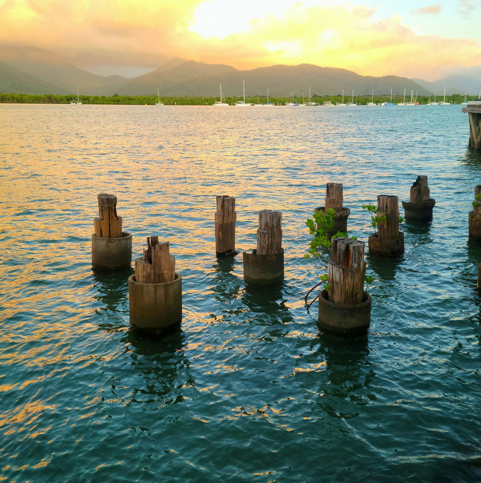 Lovely sunset at the marina in Cairns while I was enjoying dinner at Hemingway's Restaurant.