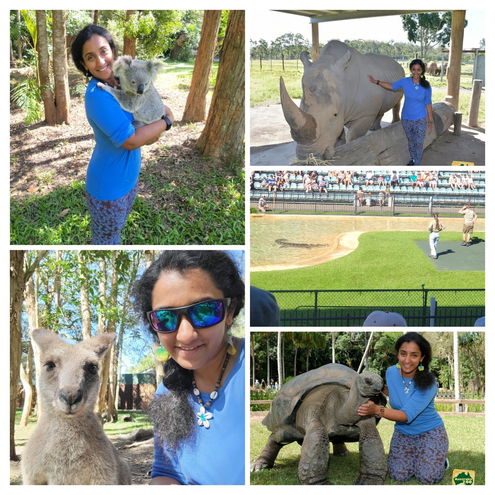 Highlights from one day at Australia Zoo