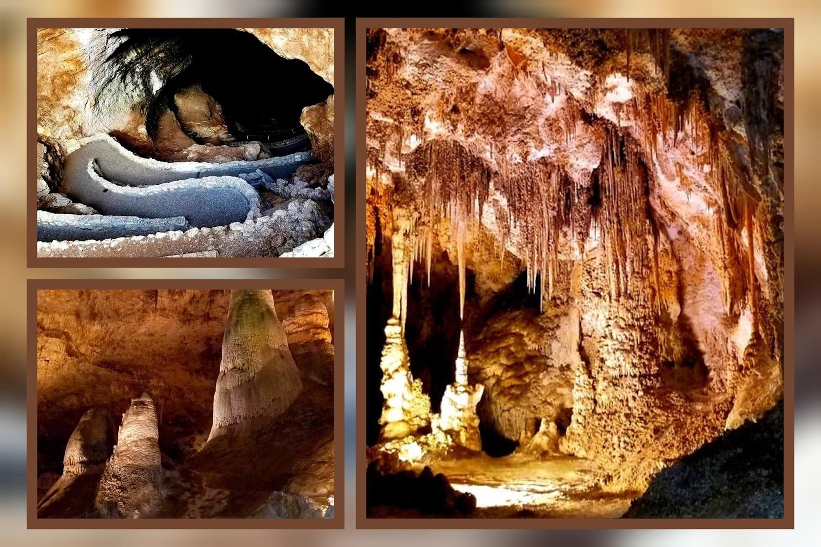 I visited Carlsbad Caverns National Park